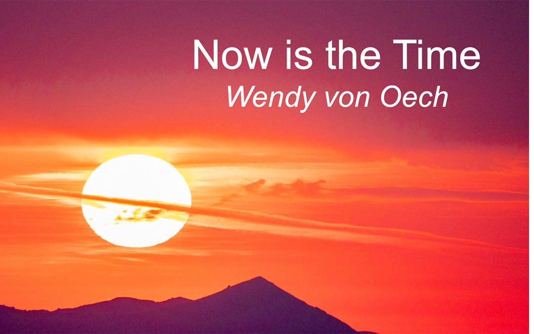 Now is the Time - Wendy von Oech