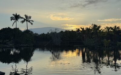 Winter Solstice 2025